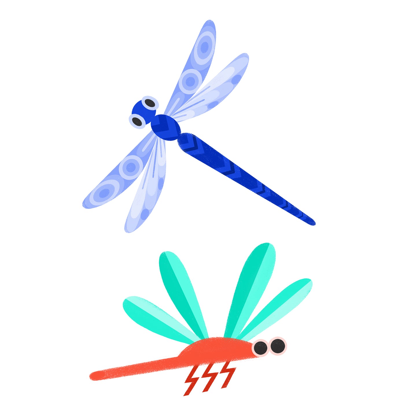 Dragonfly Duo